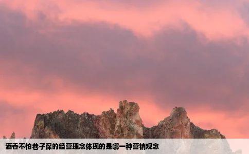 酒香不怕巷子深的经营理念体现的是哪一种营销观念