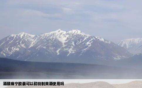 酒腰痛宁胶囊可以和特制黄酒使用吗