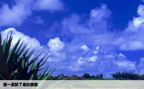 酒一壶醉了谁的眼眸