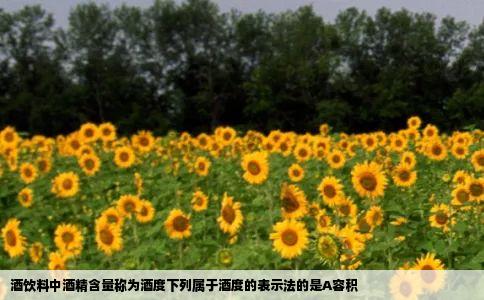 酒饮料中酒精含量称为酒度下列属于酒度的表示法的是A容积