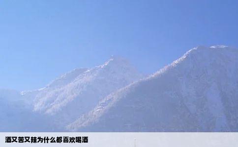 酒又苦又辣为什么都喜欢喝酒