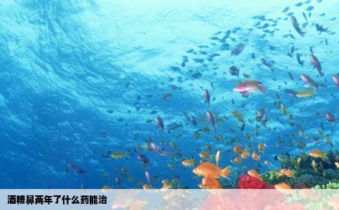 酒糟鼻两年了什么药能治