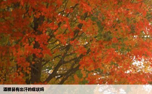 酒糟鼻有出汗的症状吗