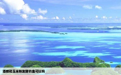 酒糟和玉米粉发酵钓鱼可以吗