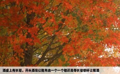 酒桌上有长辈开头酒是让我先去一个一个敬还是等长辈举杯让喝酒