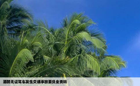 酒醉无证驾车发生交通事故要负全责吗