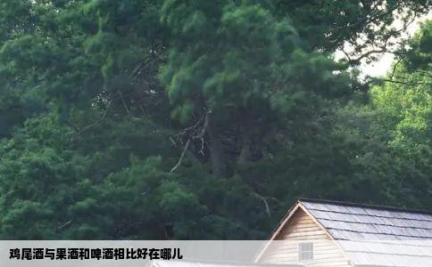 鸡尾酒与果酒和啤酒相比好在哪儿