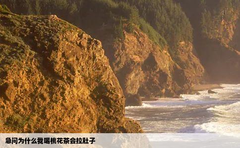 急问为什么我喝桃花茶会拉肚子