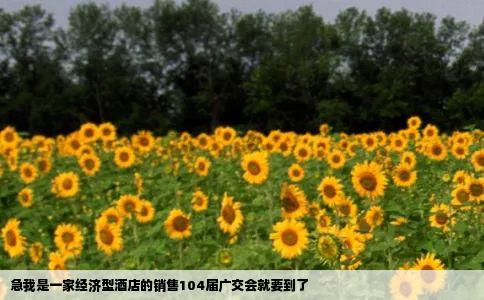 急我是一家经济型酒店的销售104届广交会就要到了