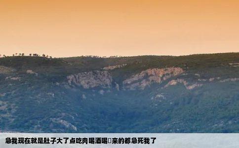 急我现在就是肚子大了点吃肉喝酒喝岀来的都急死我了