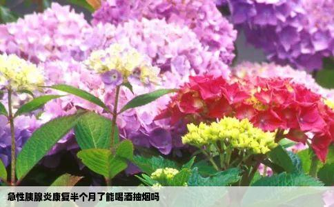 急性胰腺炎康复半个月了能喝酒抽烟吗