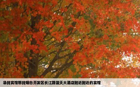 急找宾馆想找烟台开发区长江路蓝天大酒店附近附近的宾馆