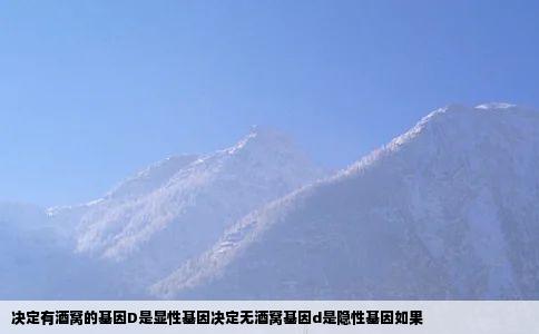 决定有酒窝的基因D是显性基因决定无酒窝基因d是隐性基因如果