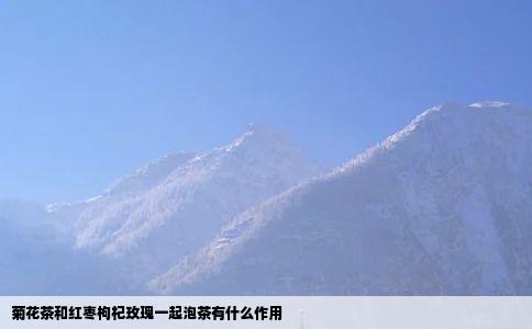 菊花茶和红枣枸杞玫瑰一起泡茶有什么作用