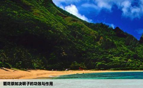 菊花茶加决明子的功效与作用