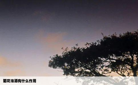 菊花泡酒有什么作用