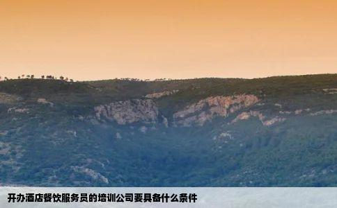 开办酒店餐饮服务员的培训公司要具备什么条件