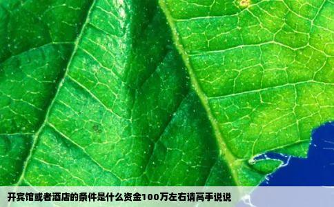 开宾馆或者酒店的条件是什么资金100万左右请高手说说