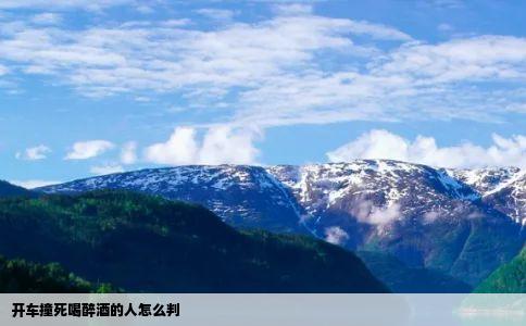 开车撞死喝醉酒的人怎么判