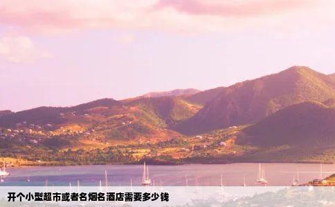 开个小型超市或者名烟名酒店需要多少钱