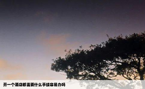 开一个酒店都需要什么手续容易办吗