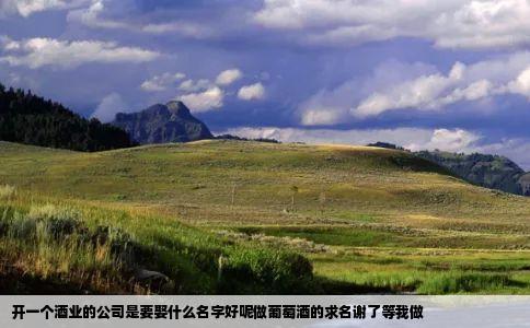 开一个酒业的公司是要娶什么名字好呢做葡萄酒的求名谢了等我做