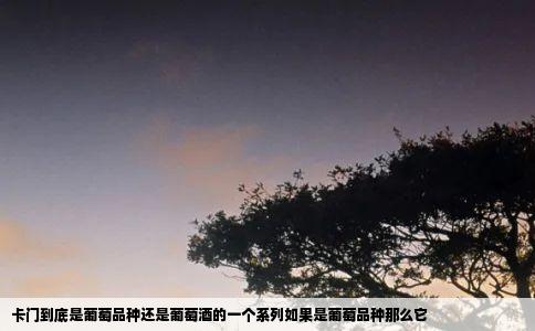 卡门到底是葡萄品种还是葡萄酒的一个系列如果是葡萄品种那么它