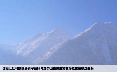 康复以后可以喝决明子荷叶乌龙茶山楂陈皮紫苏籽桂花茯苓这些吗