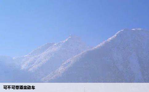 可不可带酒坐动车