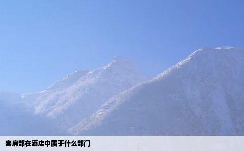 客房部在酒店中属于什么部门