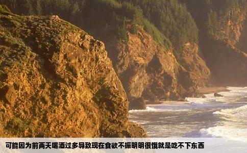 可能因为前两天喝酒过多导致现在食欲不振明明很饿就是吃不下东西