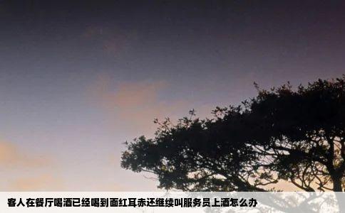 客人在餐厅喝酒已经喝到面红耳赤还继续叫服务员上酒怎么办