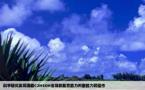 科学研究发现酒精C2H5OH会导致触觉能力判断能力和操作