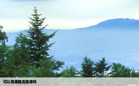 可以用酒精洗阴道吗