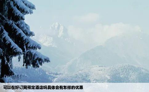 可以在好订网预定酒店吗具体会有怎样的优惠