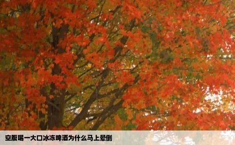 空腹喝一大口冰冻啤酒为什么马上晕倒