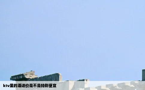 ktv里的酒进价是不是特别便宜
