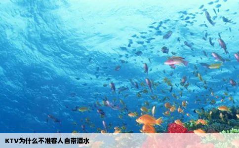 KTV为什么不准客人自带酒水
