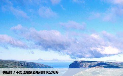 快结婚了不知道哪家酒店和婚庆公司好
