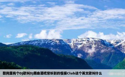 酷狗里有个DJ歌叫DJ舞曲酒吧常听到的慢摇Club这个英文歌叫什么