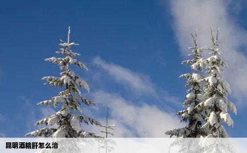 昆明酒精肝怎么治