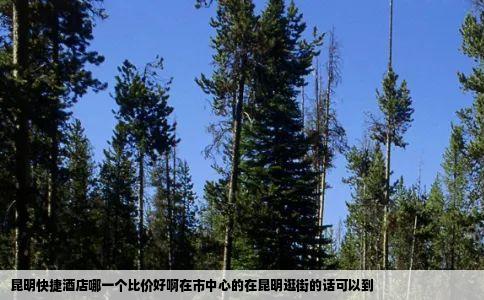 昆明快捷酒店哪一个比价好啊在市中心的在昆明逛街的话可以到