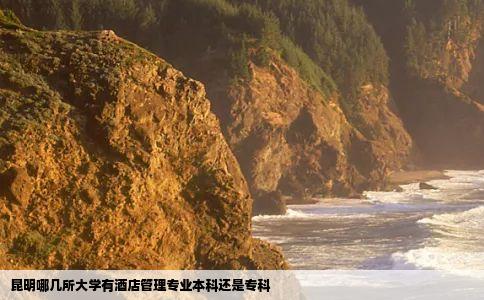 昆明哪几所大学有酒店管理专业本科还是专科