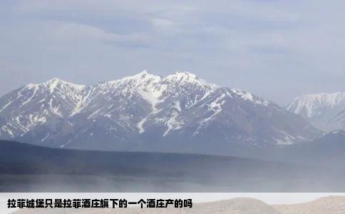 拉菲城堡只是拉菲酒庄旗下的一个酒庄产的吗