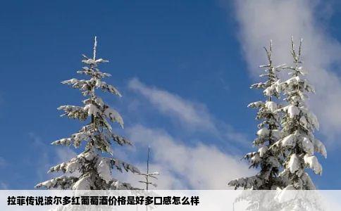 拉菲传说波尔多红葡萄酒价格是好多口感怎么样