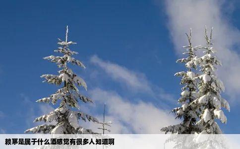 赖茅是属于什么酒感觉有很多人知道啊