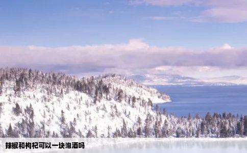 辣椒和枸杞可以一块泡酒吗