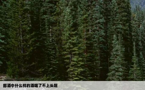 郎酒中什么样的酒喝了不上头啊