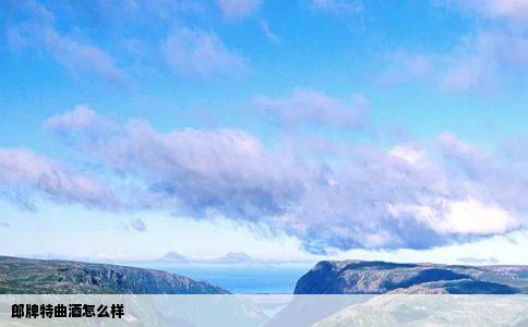 郎牌特曲酒怎么样