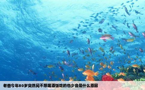 老爸今年80岁突然间不想喝酒饭吃的也少会是什么原因